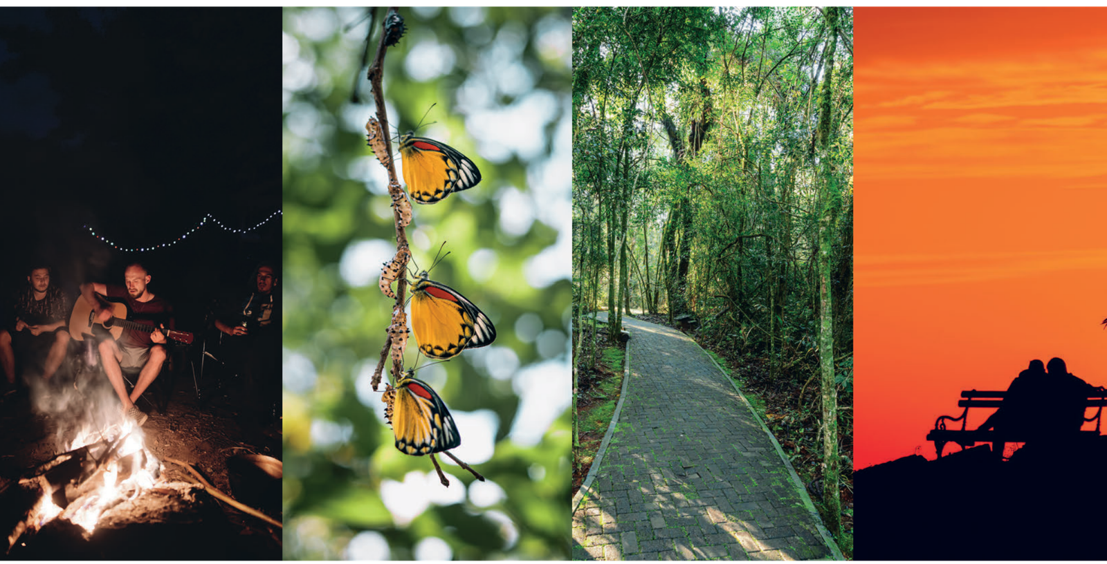 Experiencias en Vista Silvestre: fogata, mariposario, sendero y atardecer
